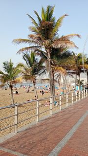 GC-Paseo Las Canteras (Las Palmas) 2026-131.jpg